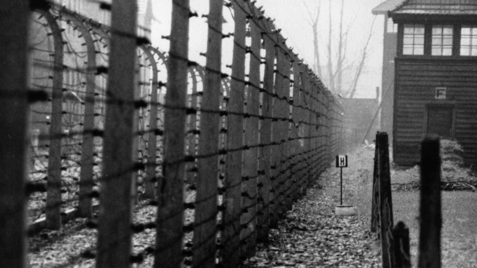 Distorção do Holocausto e aumento do antissemitismo preocupam Europa