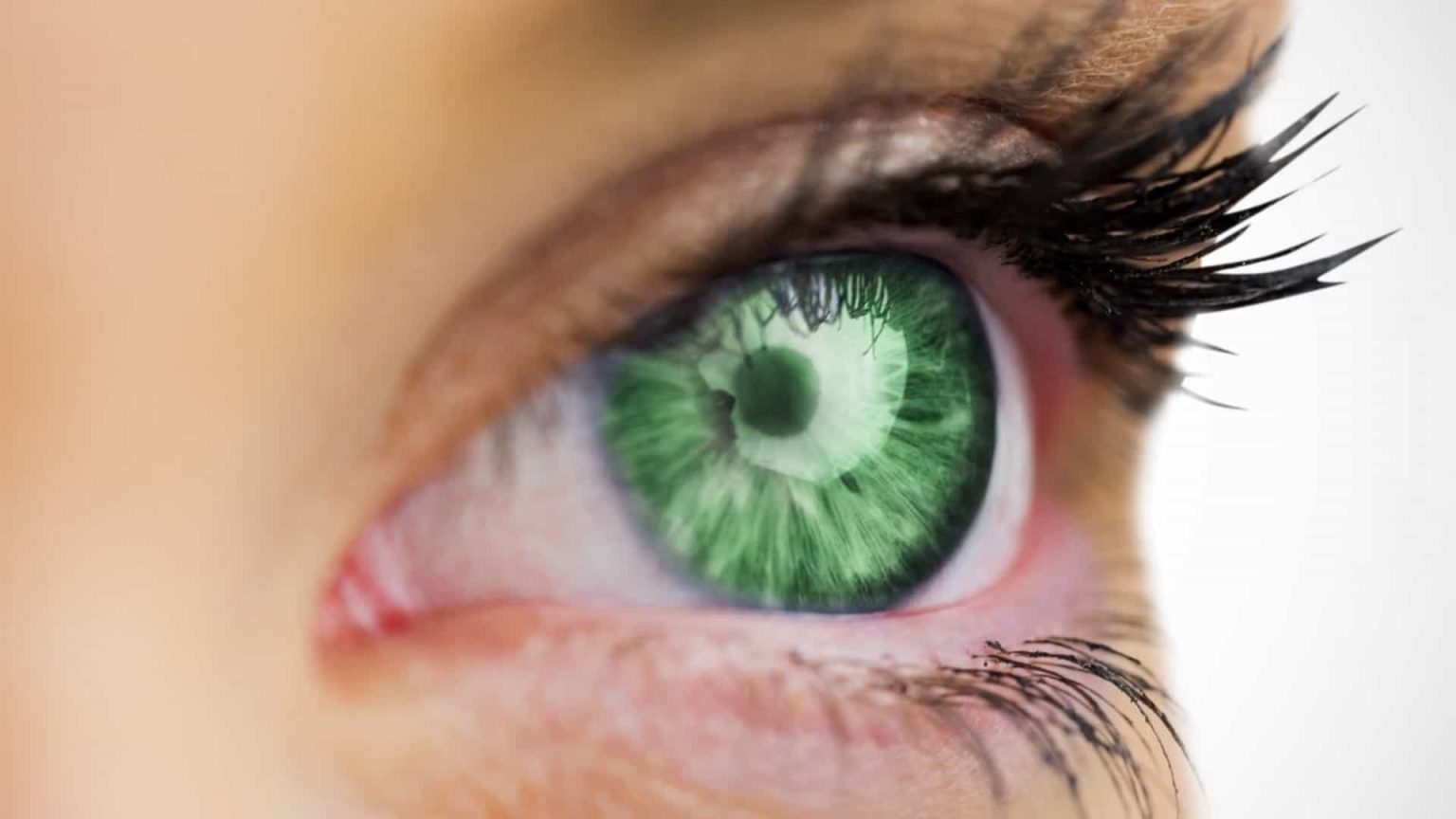 Idade biológica da retina pode indicar risco de morte prematura