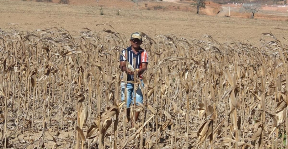 Com seca, produtores do Sul não cobrem custos de produção