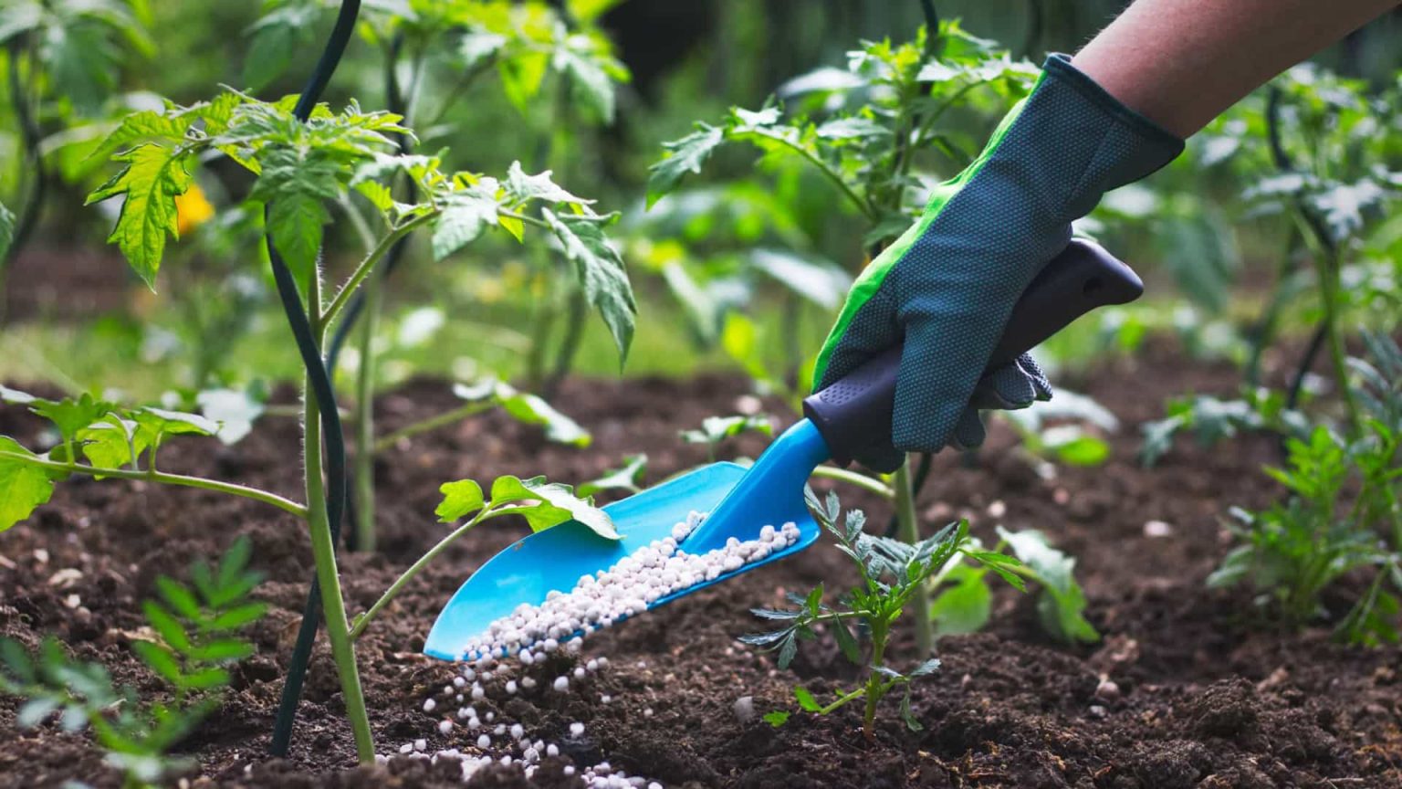 Ministério projeta que País tenha abastecimento de fertilizantes até outubro